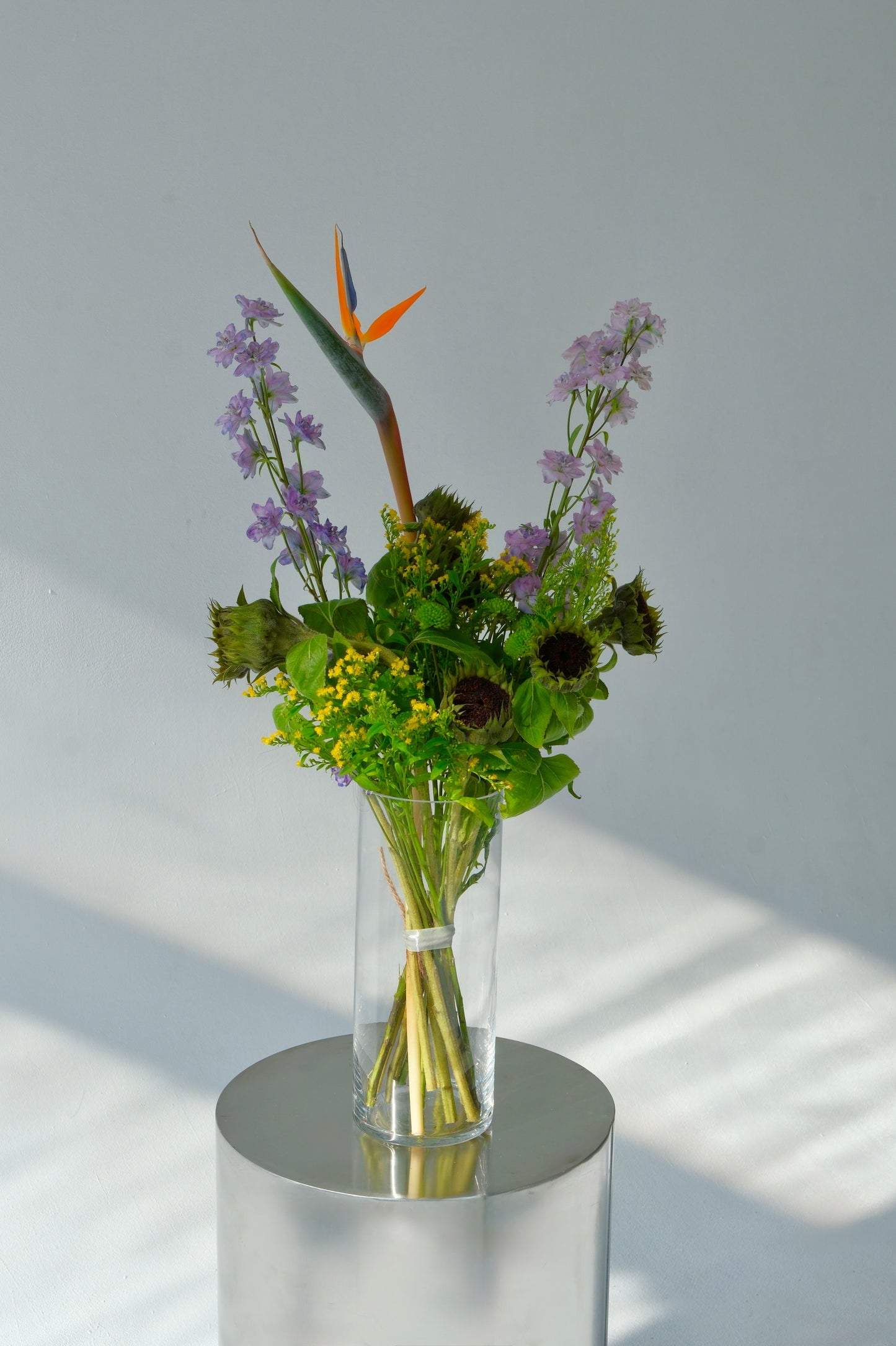 Sunflower Without Sun