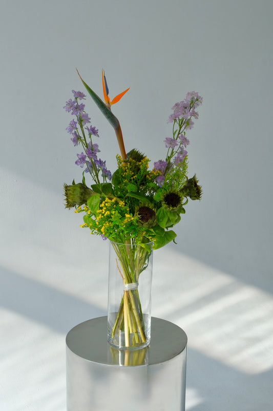 Sunflower Without Sun